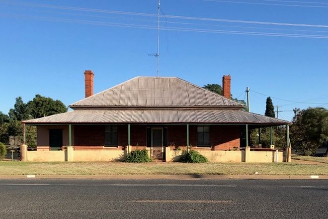 Picture of 93 WAMBIANA STREET, NYNGAN NSW 2825