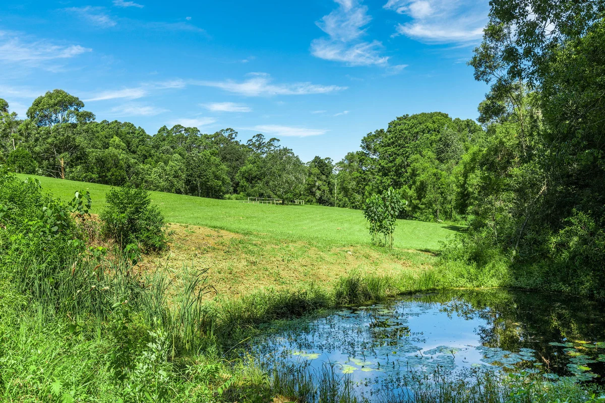 Additional image 26 of 129 Mafeking Road, Goonengerry NSW 2482