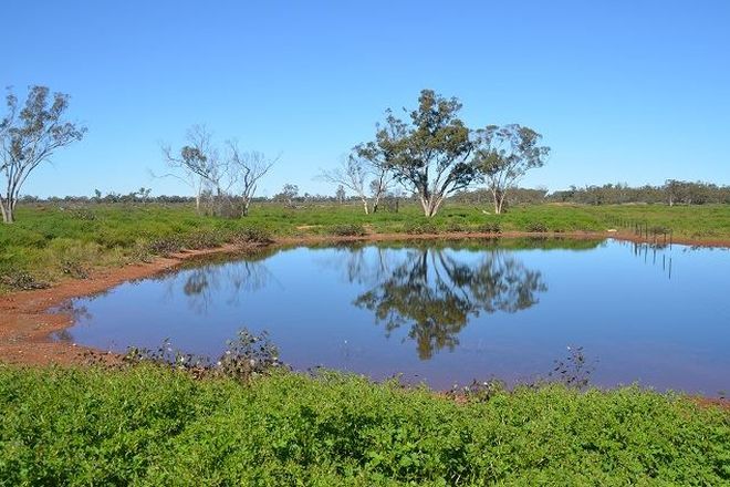 Picture of * Spring Valley, HERMIDALE NSW 2831