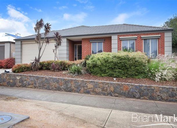 433 Morris Road, Tarneit VIC 3029