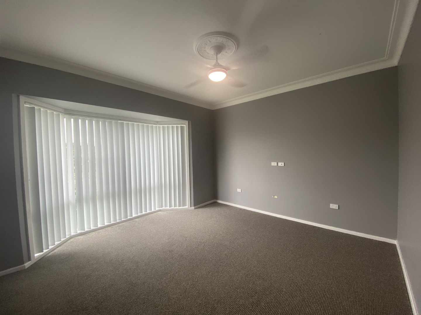 7 Marie Avenue, Taree NSW 2430 House For Rent 420 Domain