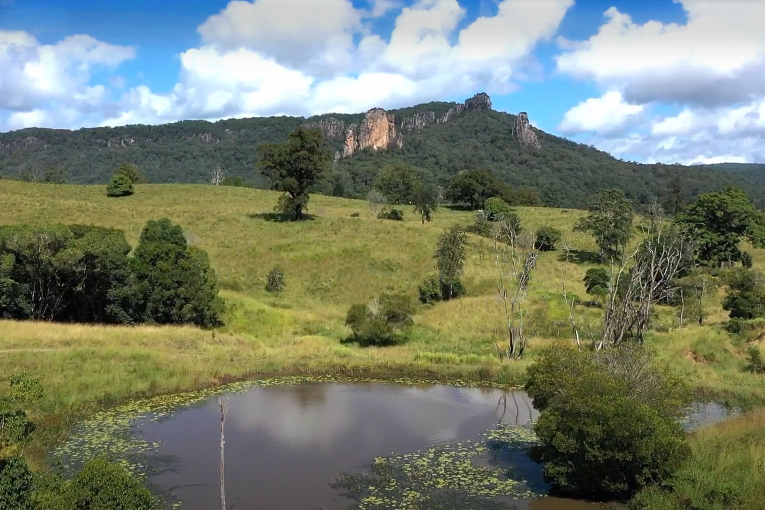 24302466 Nimbin Road, Nimbin NSW 2480 House for Sale 2,295,000