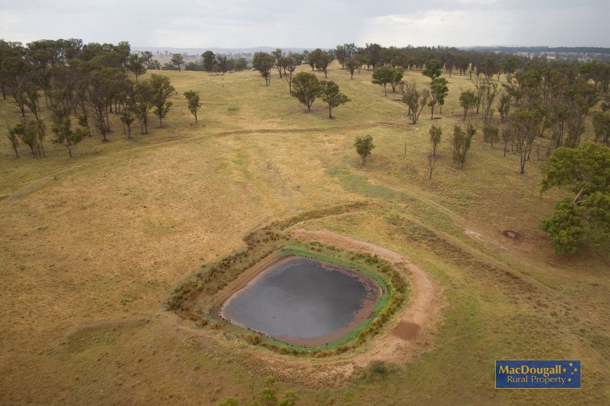 Armidale NSW 2350, Image 2