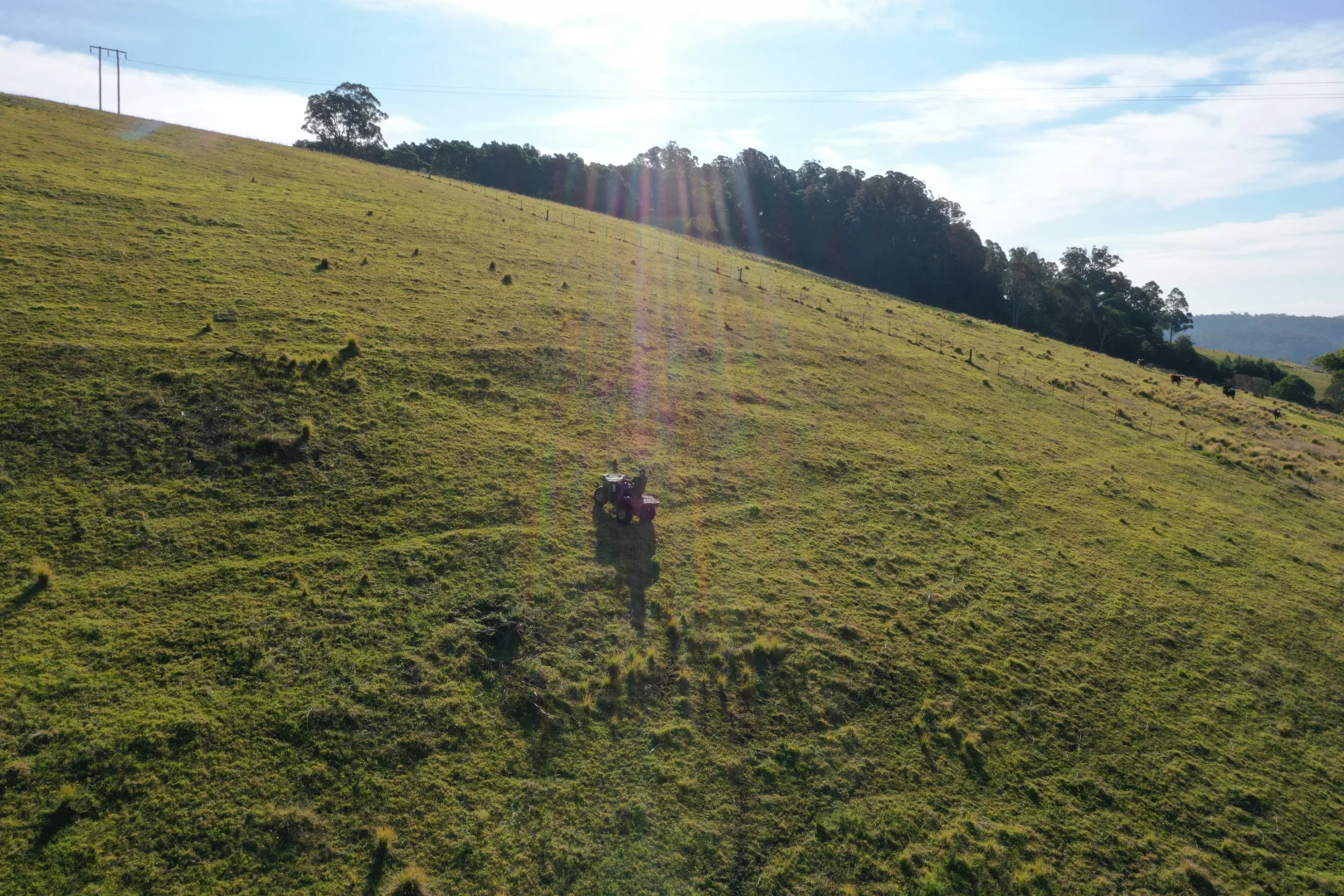 Image 15