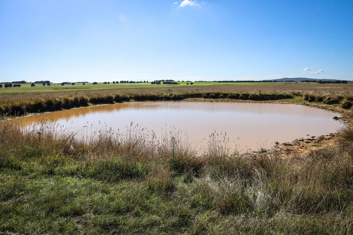 Additional image 4 of 1790 Braidwood Road, Tarago NSW 2580