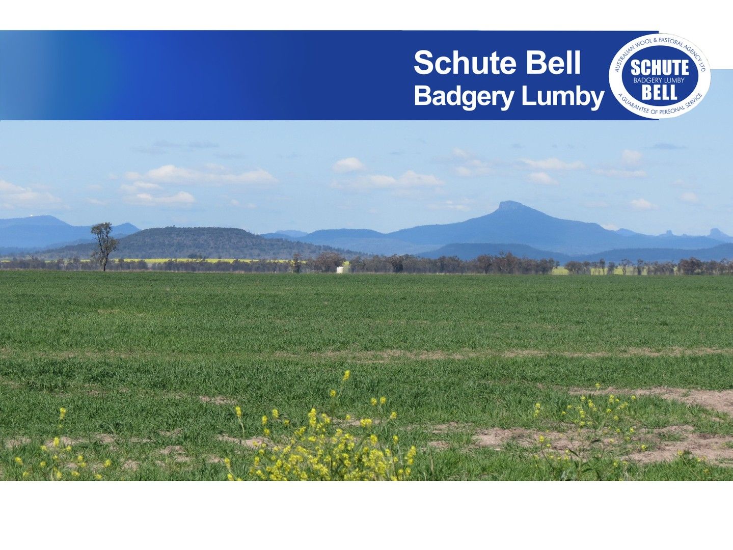 Rural in 136 Murraiman Rd - Almora, COONAMBLE NSW, 2829