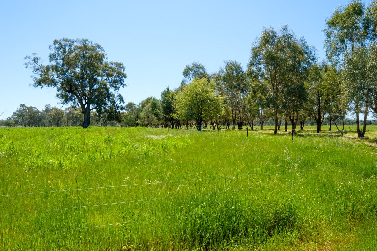 3859 Riverina Highway, Bungowannah NSW 2640, Image 1