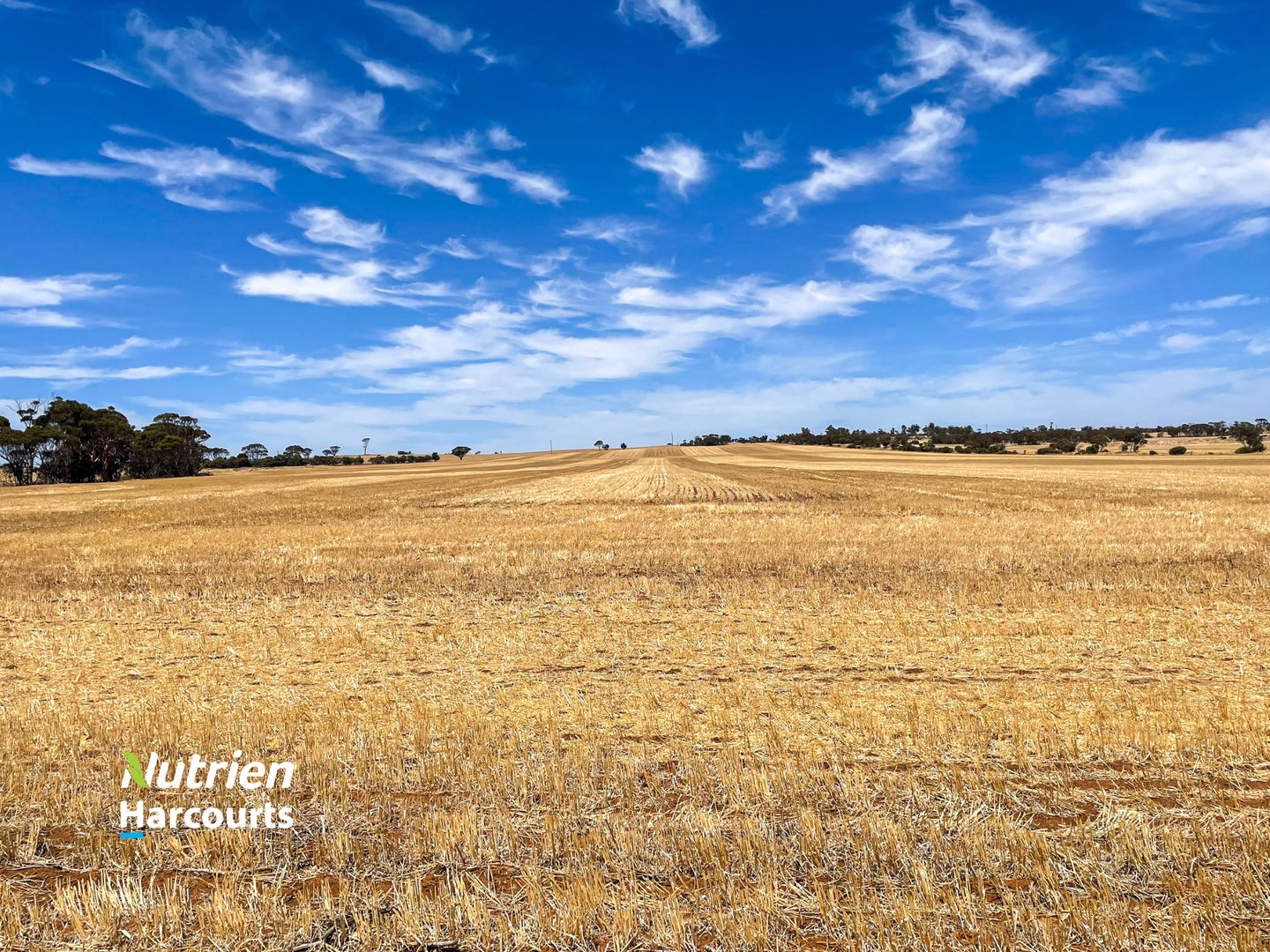 . Selby Farm, Youngs Block & Marrs, Dumbleyung WA 6350 Specialist Farm for Sale