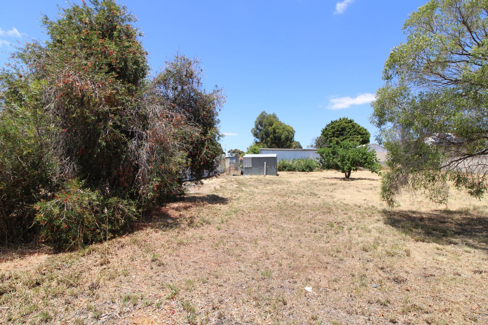 51 Upland Street, Wagin WA 6315 Domain