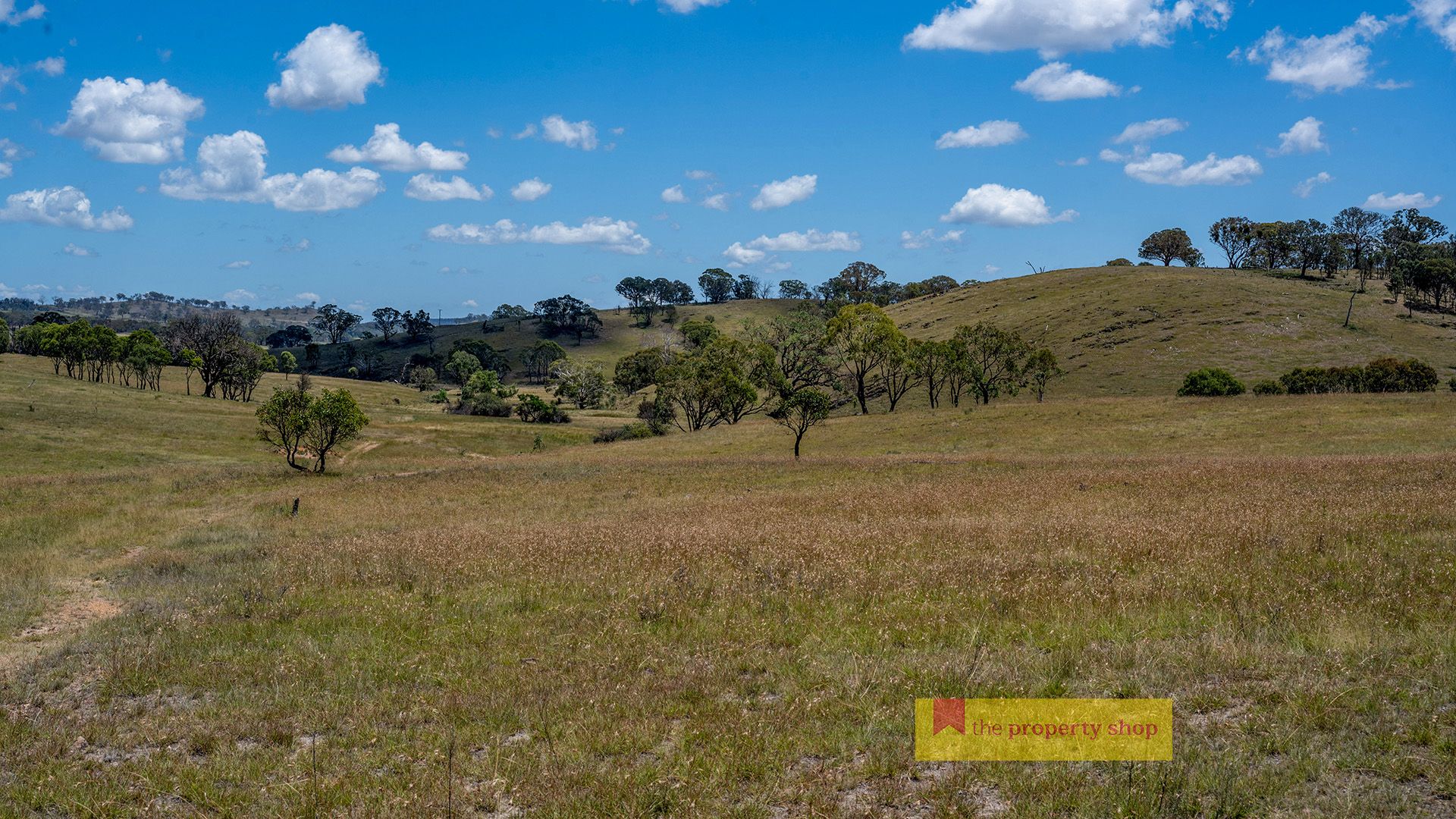 590 Prices Lane, Mudgee NSW 2850, Image 1