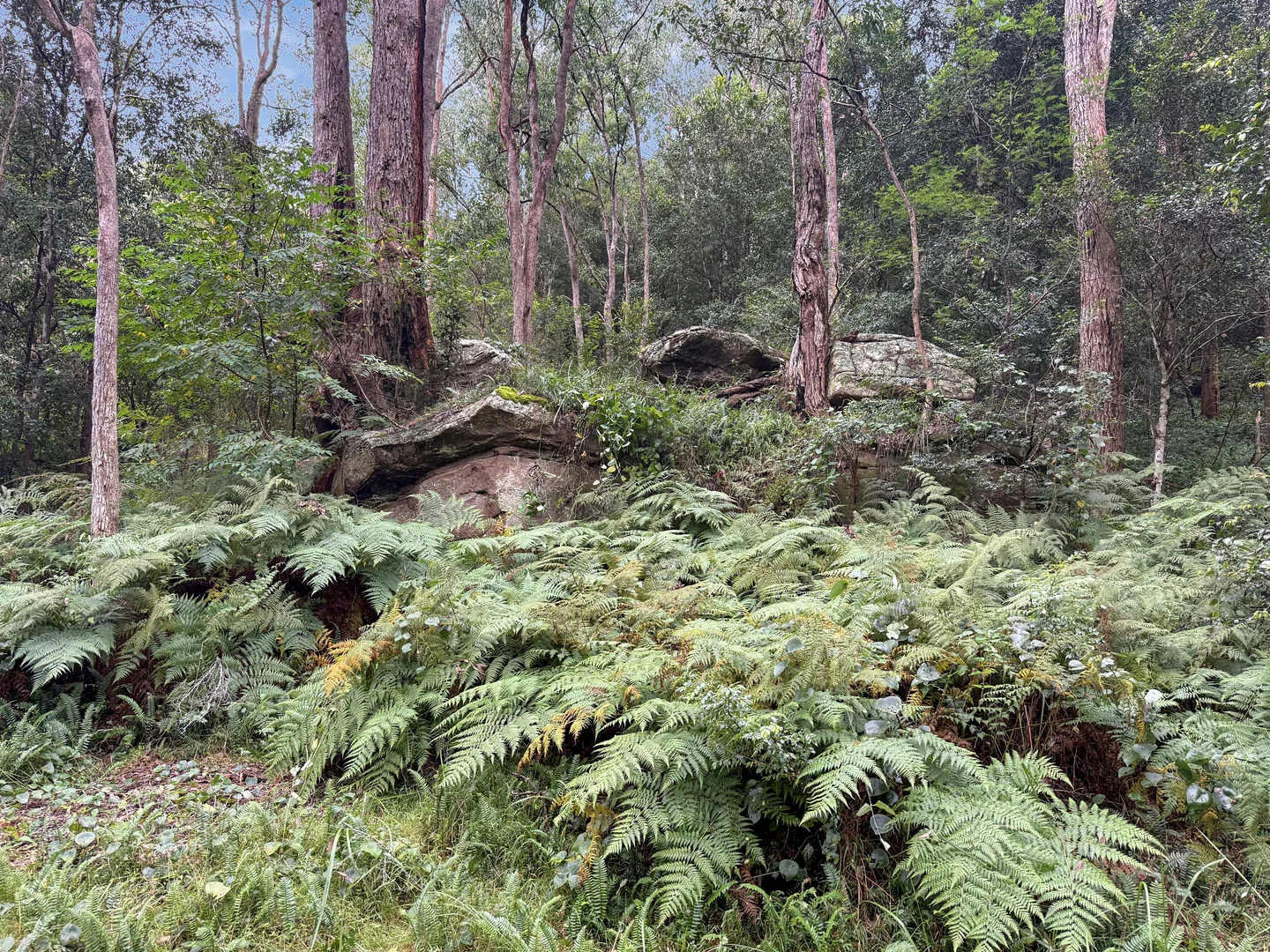 Image 31