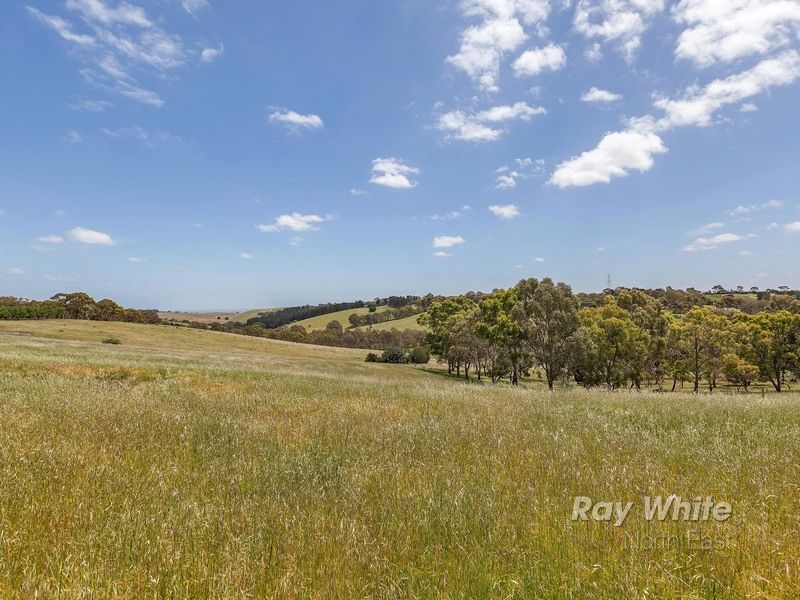 58 Miles Road, One Tree Hill SA 5114, Image 0