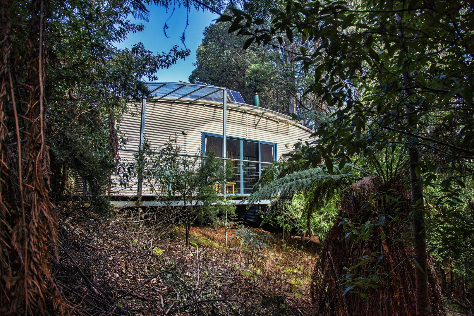 Image 8