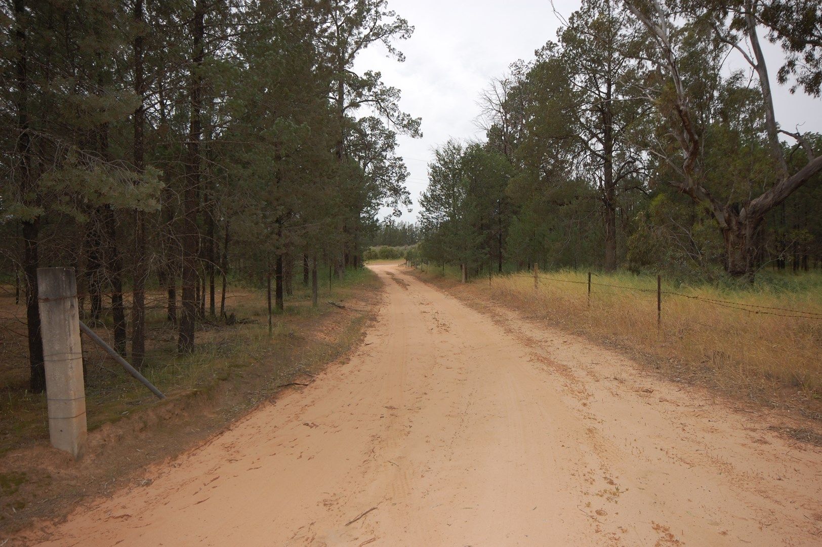 Farm 1777 Narrandera Road, Cudgel NSW 2700, Image 0