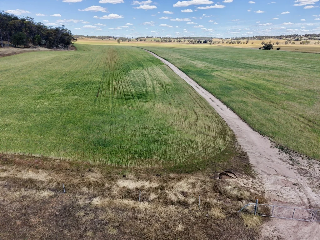 Additional image 3 of Butchers Road, Dale WA 6304