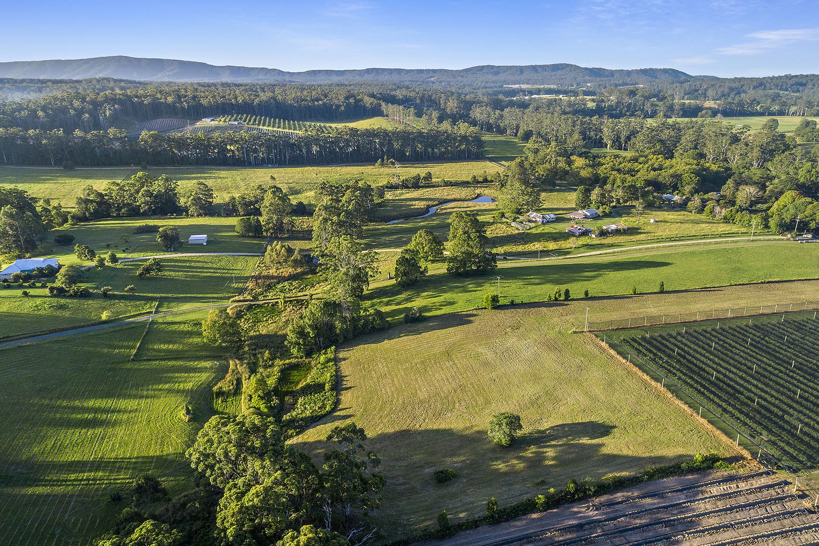 Lot 16 Central Bucca Road, Bucca NSW 2450, Image 2