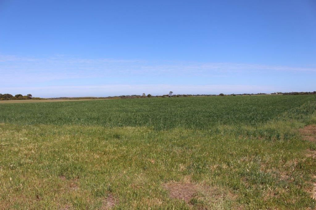 Lot 166 Padbury Road, Bookara WA 6525, Image 0