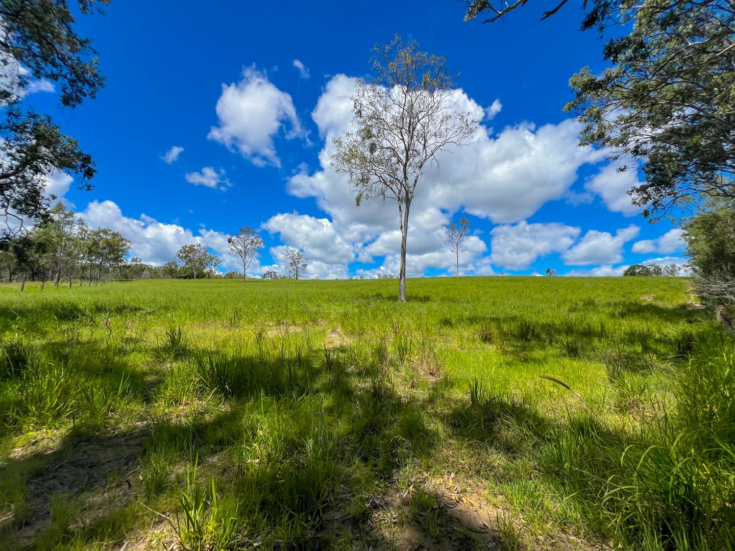 Lot 167 Towns Creek Road, Mount Perry QLD 4671, Image 2