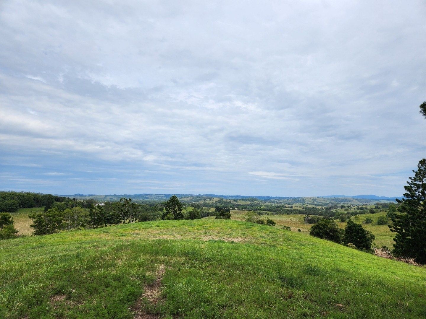 27A Paradise Court, McLeans Ridges NSW 2480 House for Sale Domain