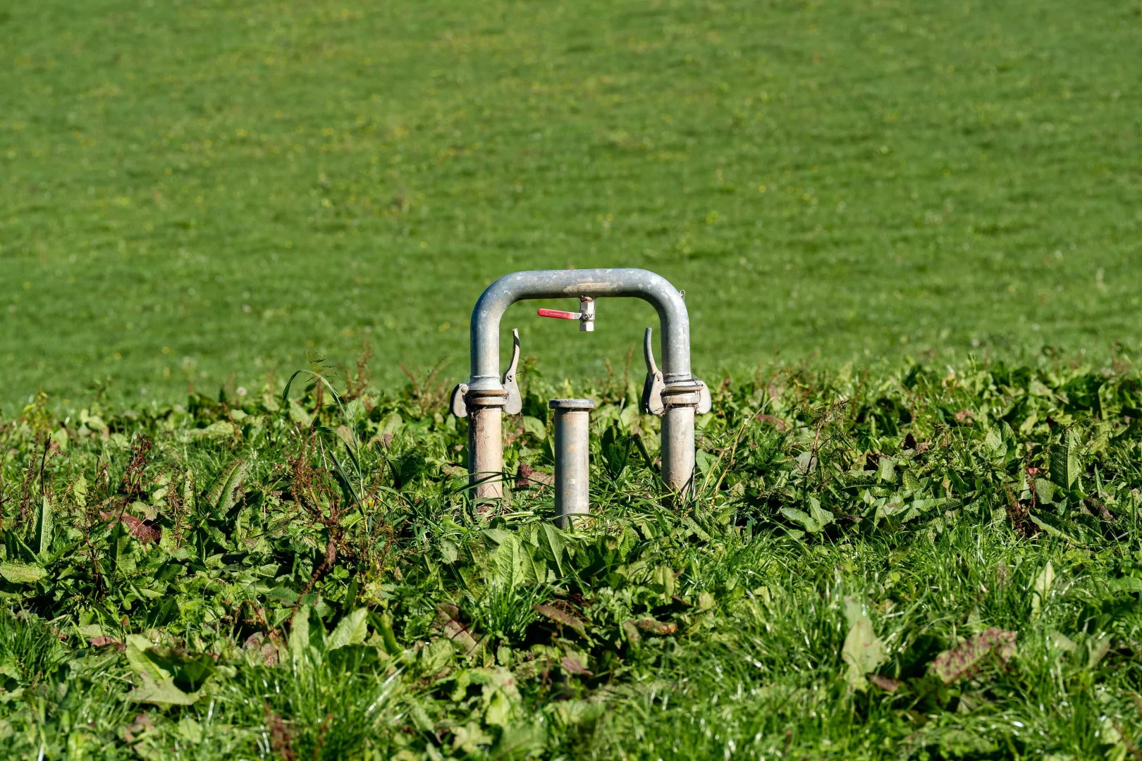 Image 15