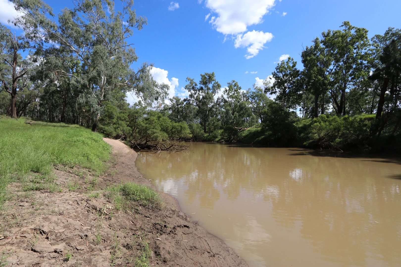 "WYNDAMERE" OLINDA ROAD, Kokotungo QLD 4702, Image 1