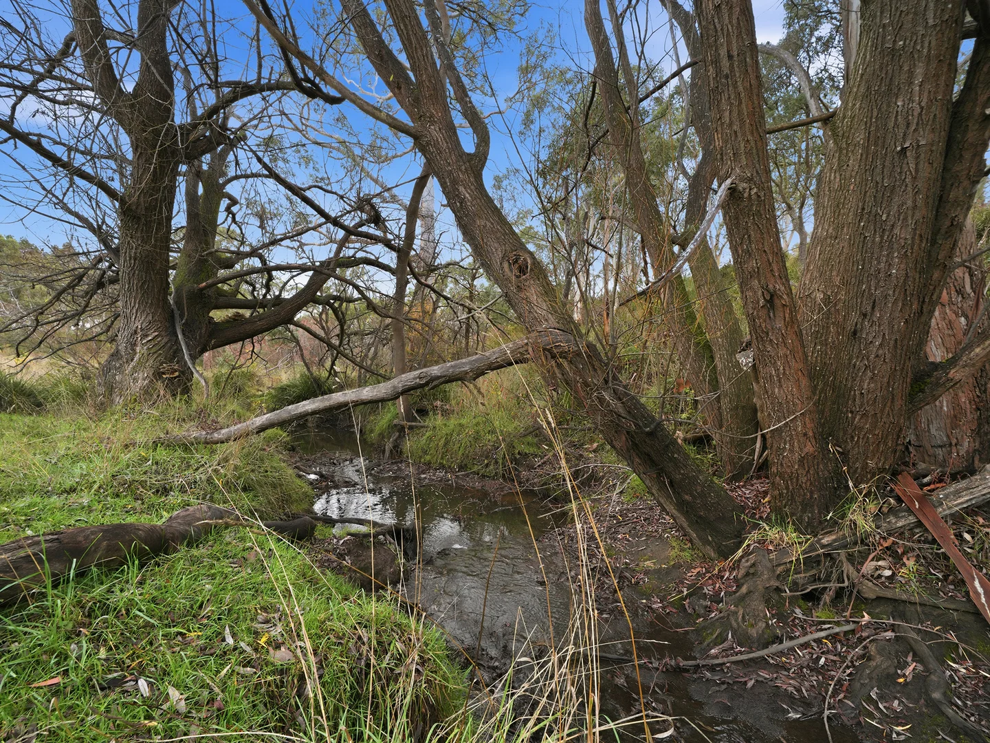Image 25