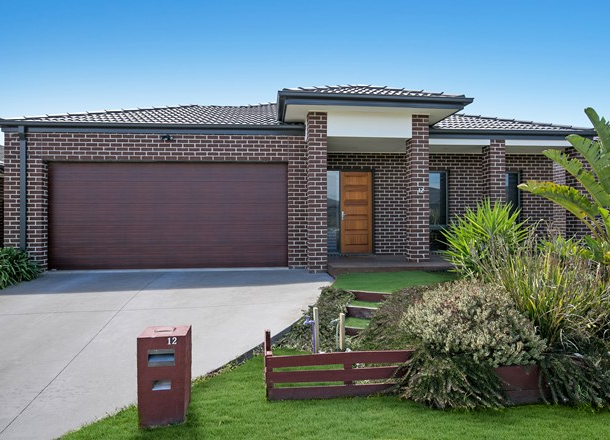 12 Dalray Street, Sandhurst VIC 3977