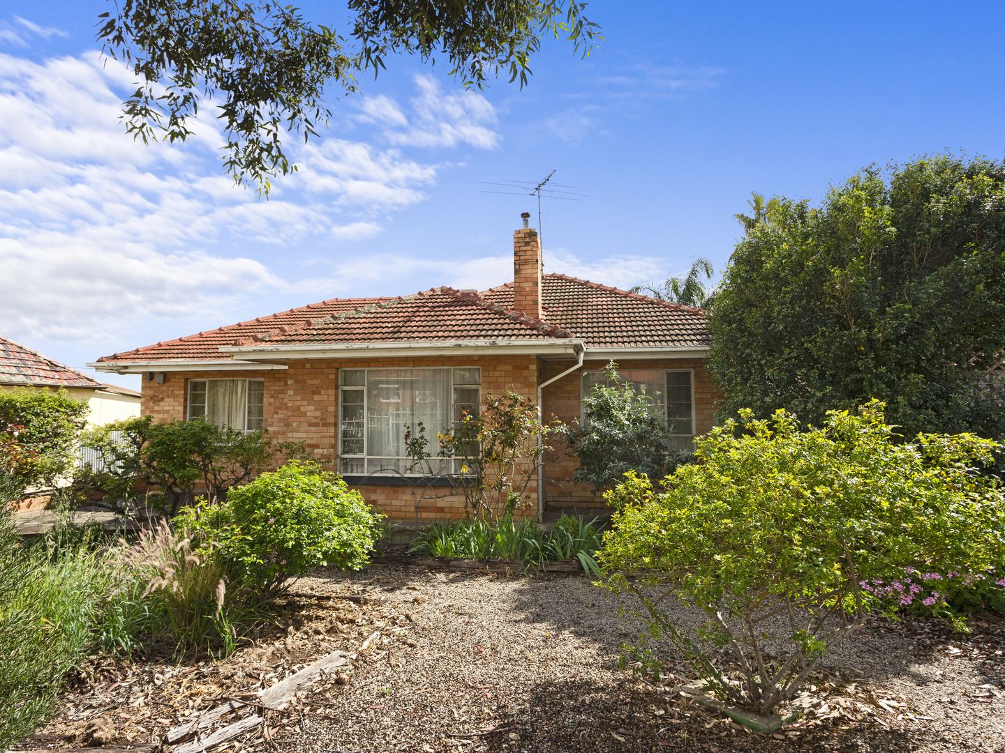 42 Angwin Avenue, Blair Athol SA 5084, Image 1