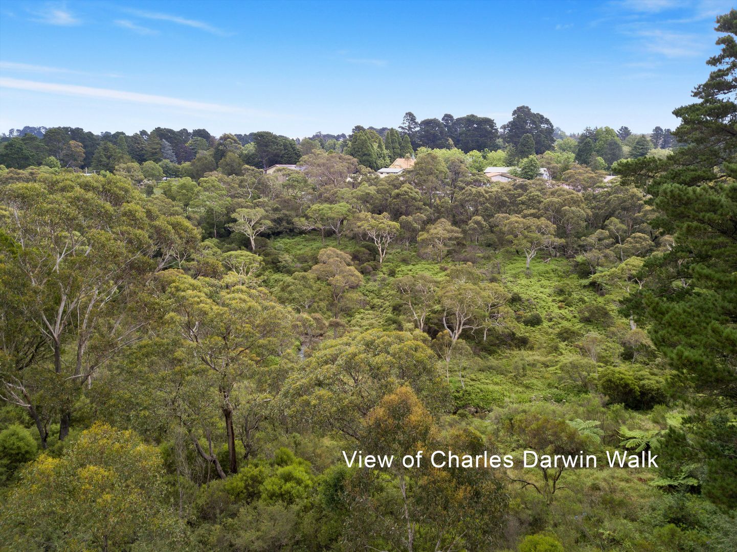 4 William Avenue, Wentworth Falls NSW 2782, Image 1