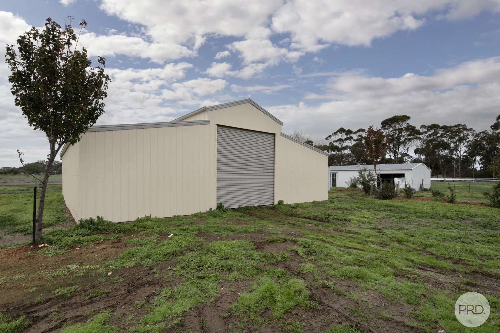 Image 10