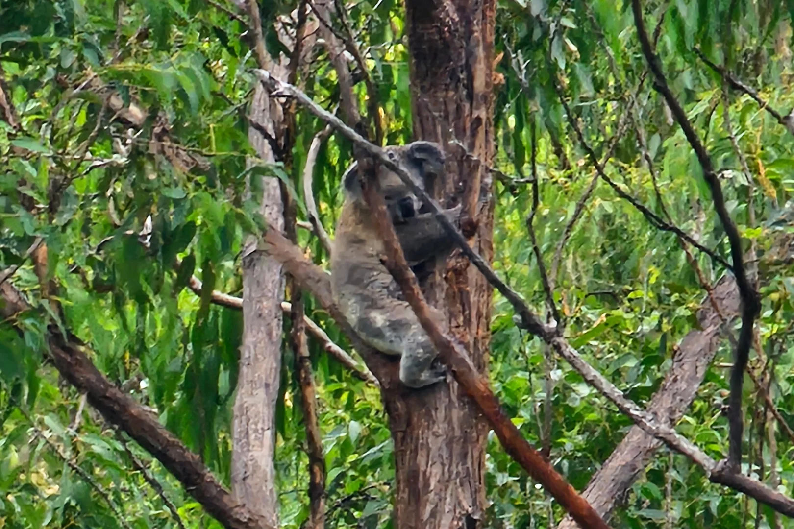 Image 12