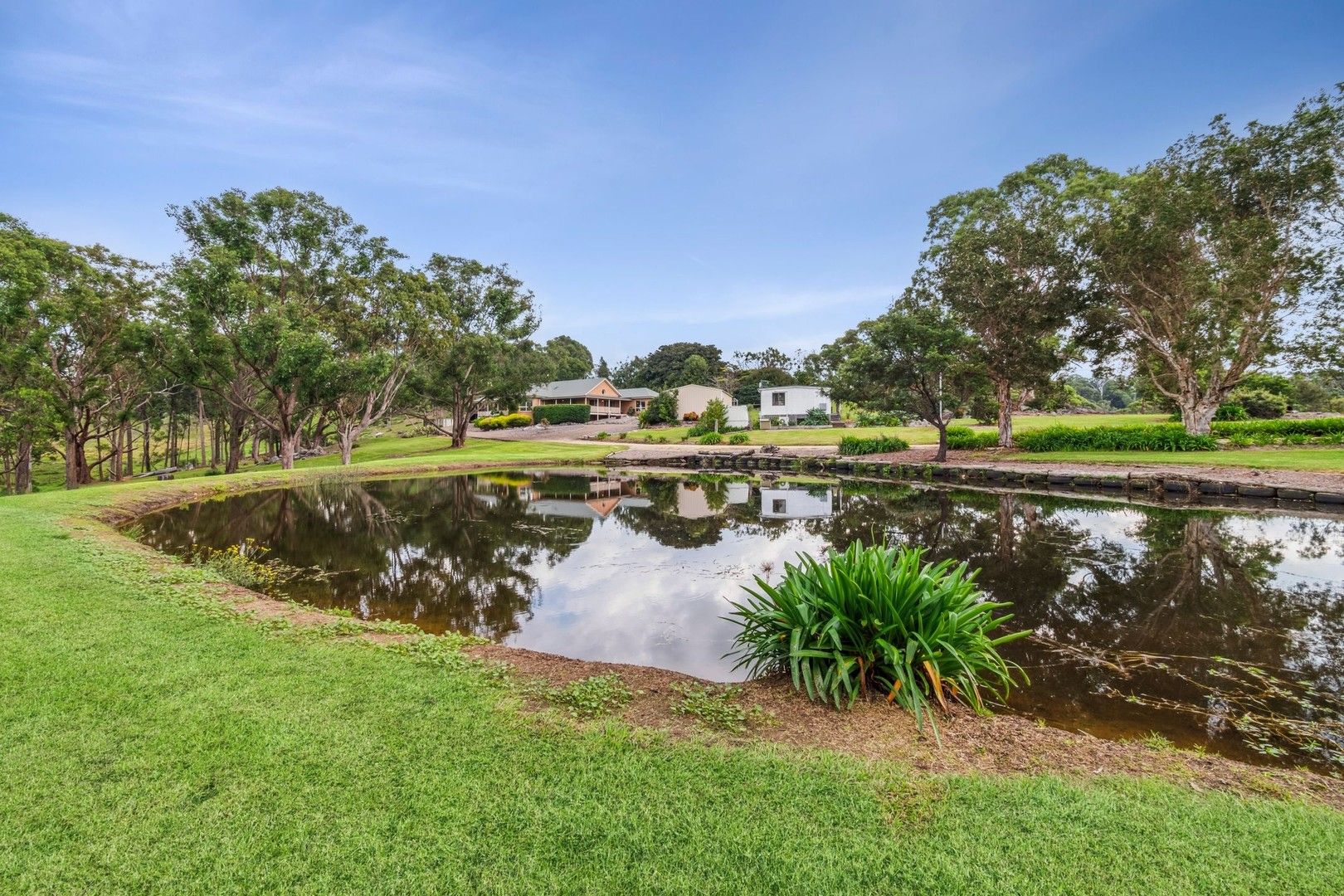 59 Donnellys Ridge Road, Moruya NSW 2537 House for Sale Domain