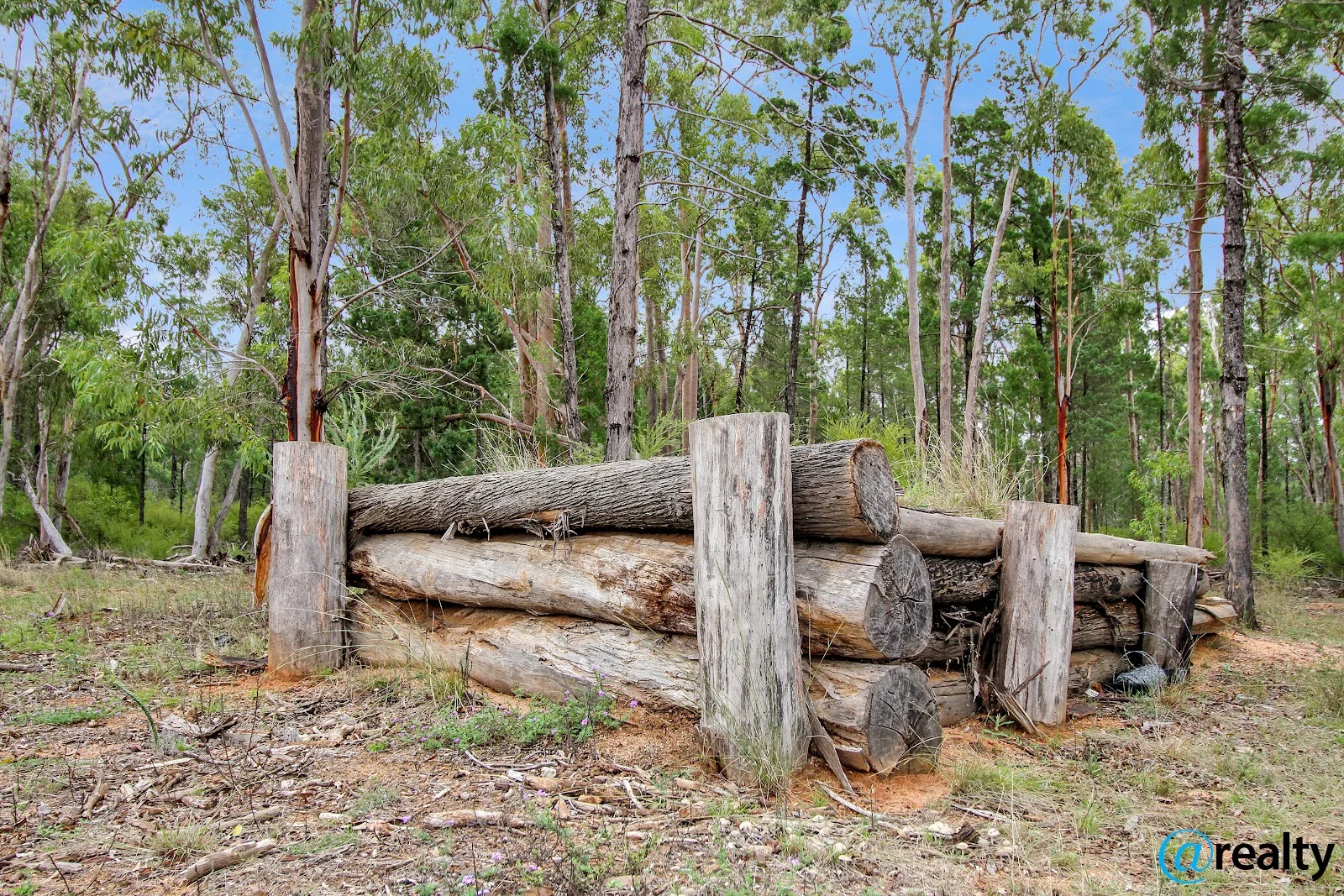 Image 12
