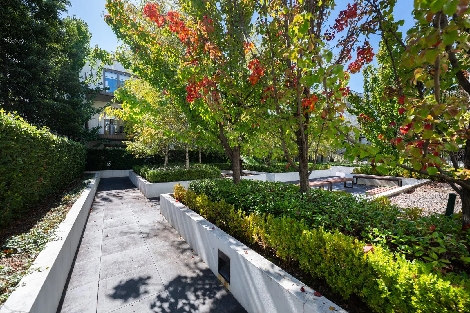 Additional image 22 of 19/1 Kerridge Street, Kingston ACT 2604