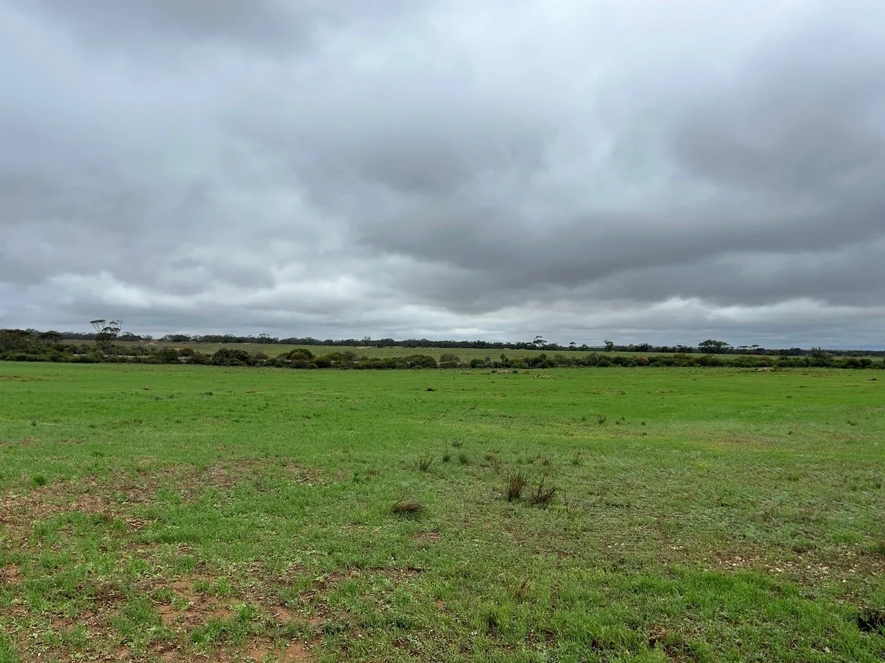 Image 13