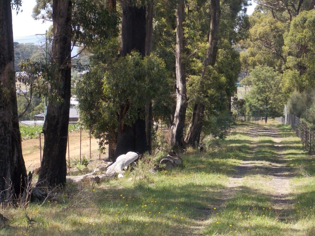 Lot 91 Morris Court, Kinglake VIC 3763, Image 0