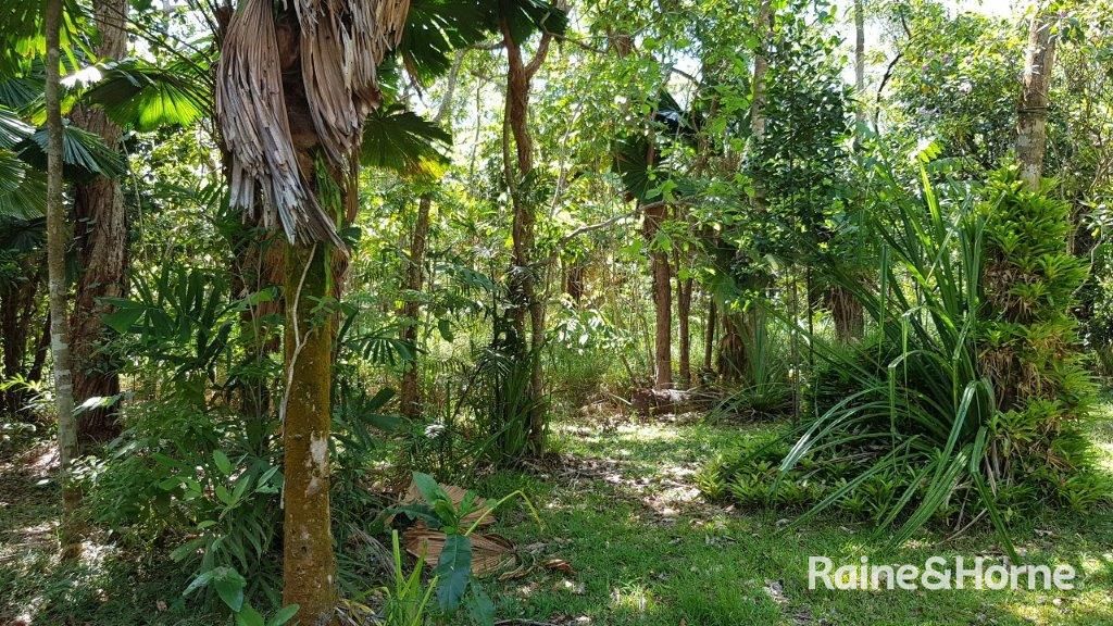 8 Cypress (Hickory) Road Cow Bay, Daintree QLD 4873, Image 1