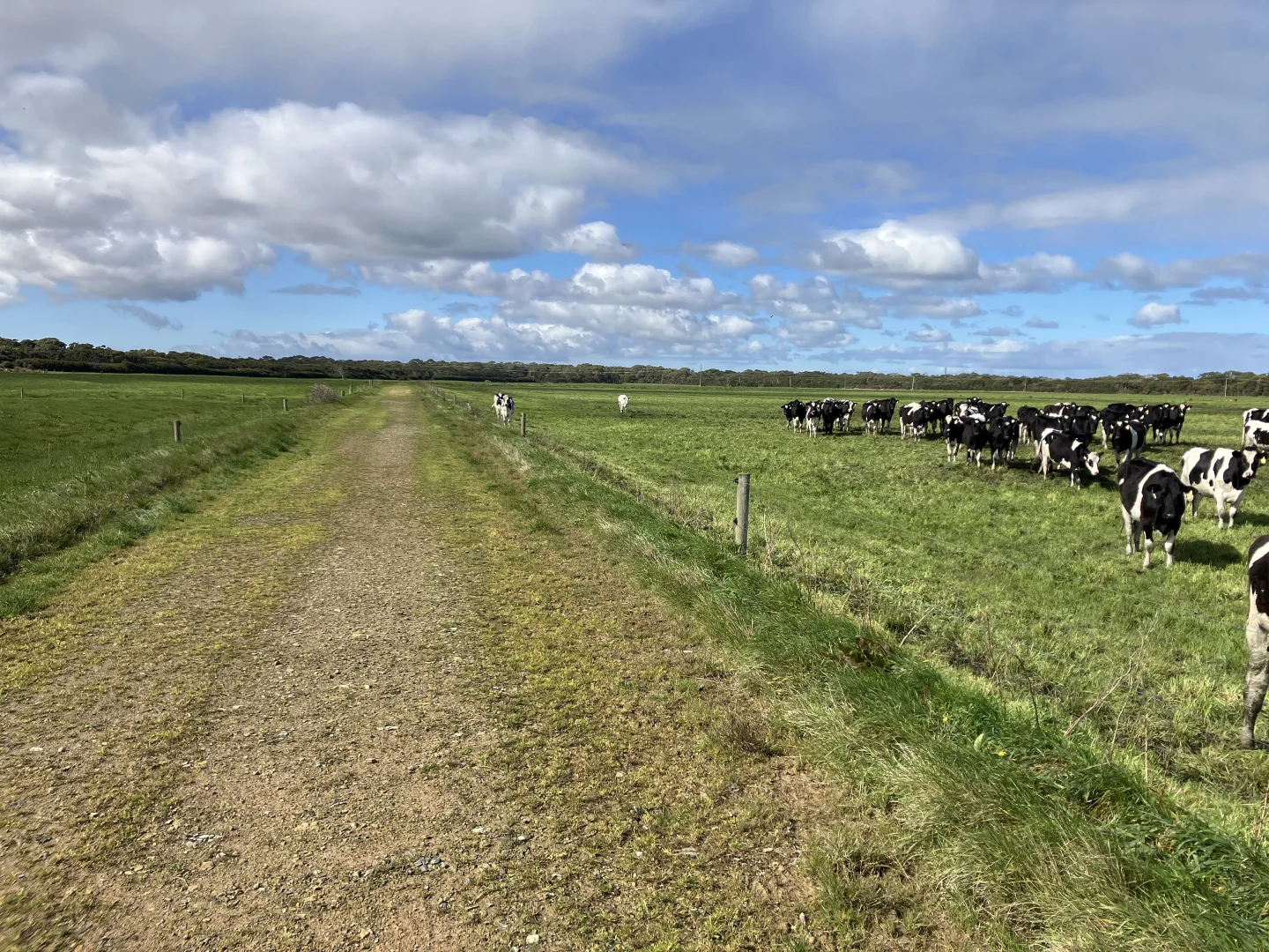 Additional image 5 of 10/648 West Montagu Road, Woolnorth TAS 7330