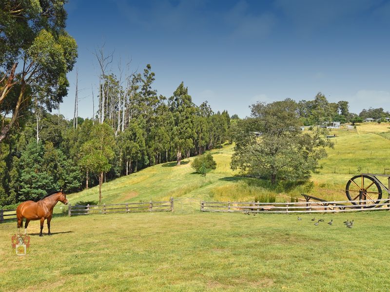 54 Mountain Home Road, Kinglake VIC 3763, Image 1