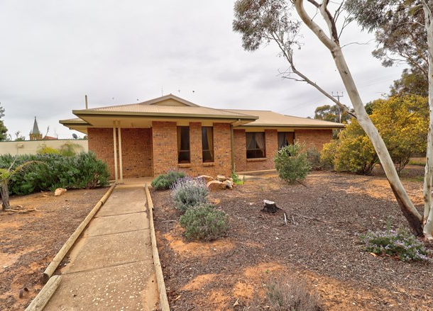 26-27 Railway Terrace North, Pinnaroo SA 5304