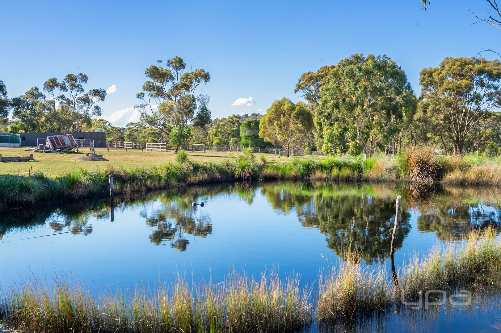 2476 Hoggs Road, Toolern Vale VIC 3337 House for Sale Domain