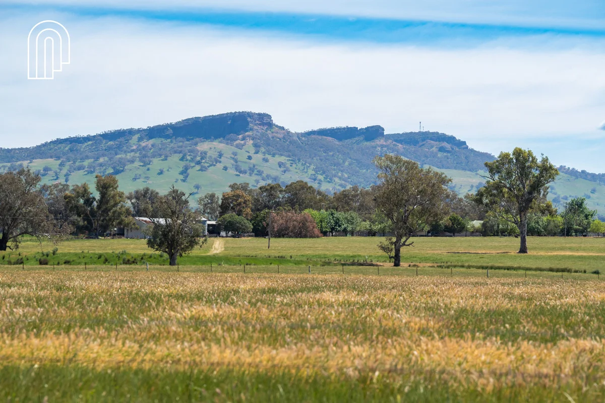 Additional image 33 of 276 Kiley Road, Table Top NSW 2640