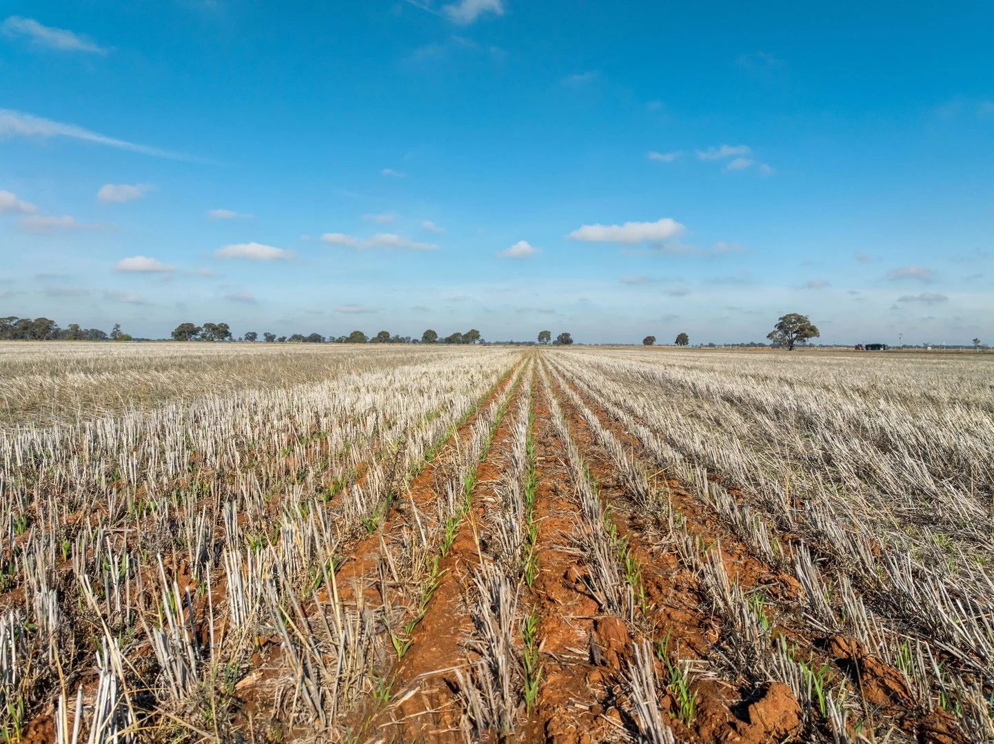 Additional image 10 of Christies Road, Katunga VIC 3640