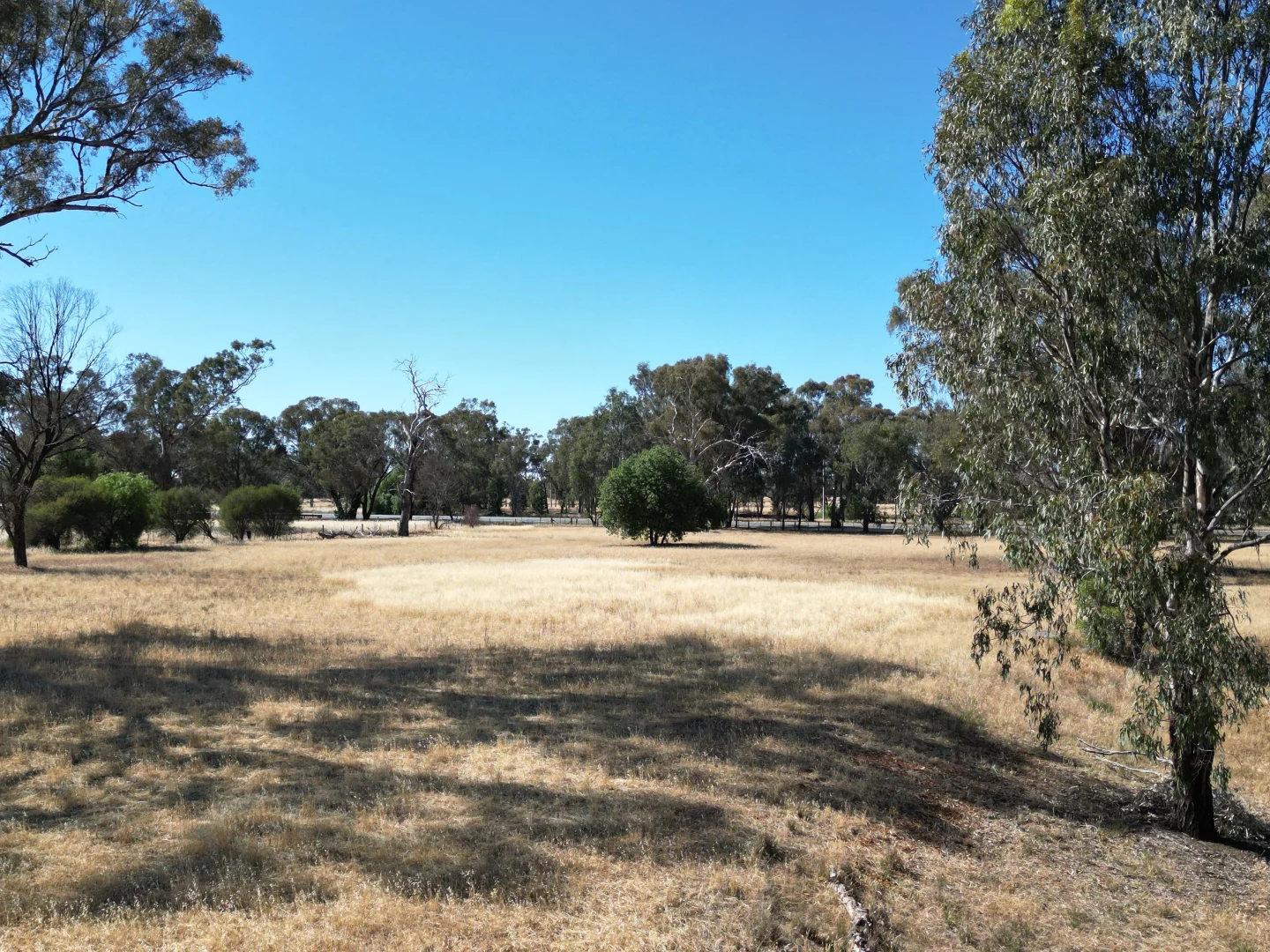 Image 25
