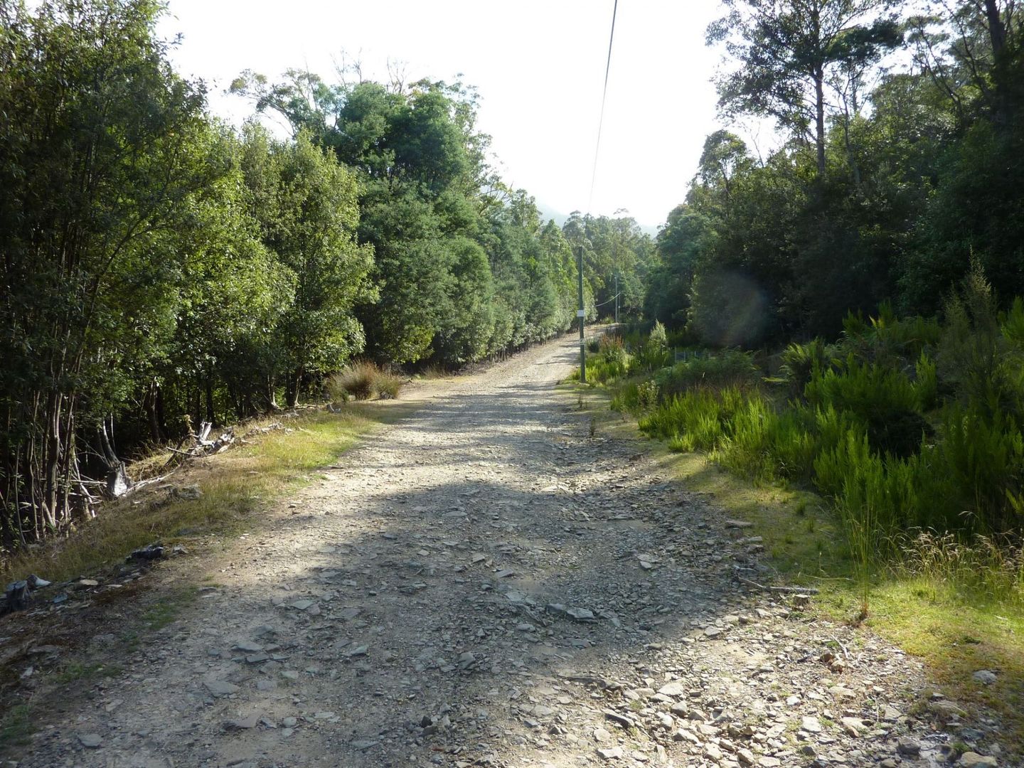 391 Lenah Valley Road, Lenah Valley TAS 7008 Vacant Land for Sale