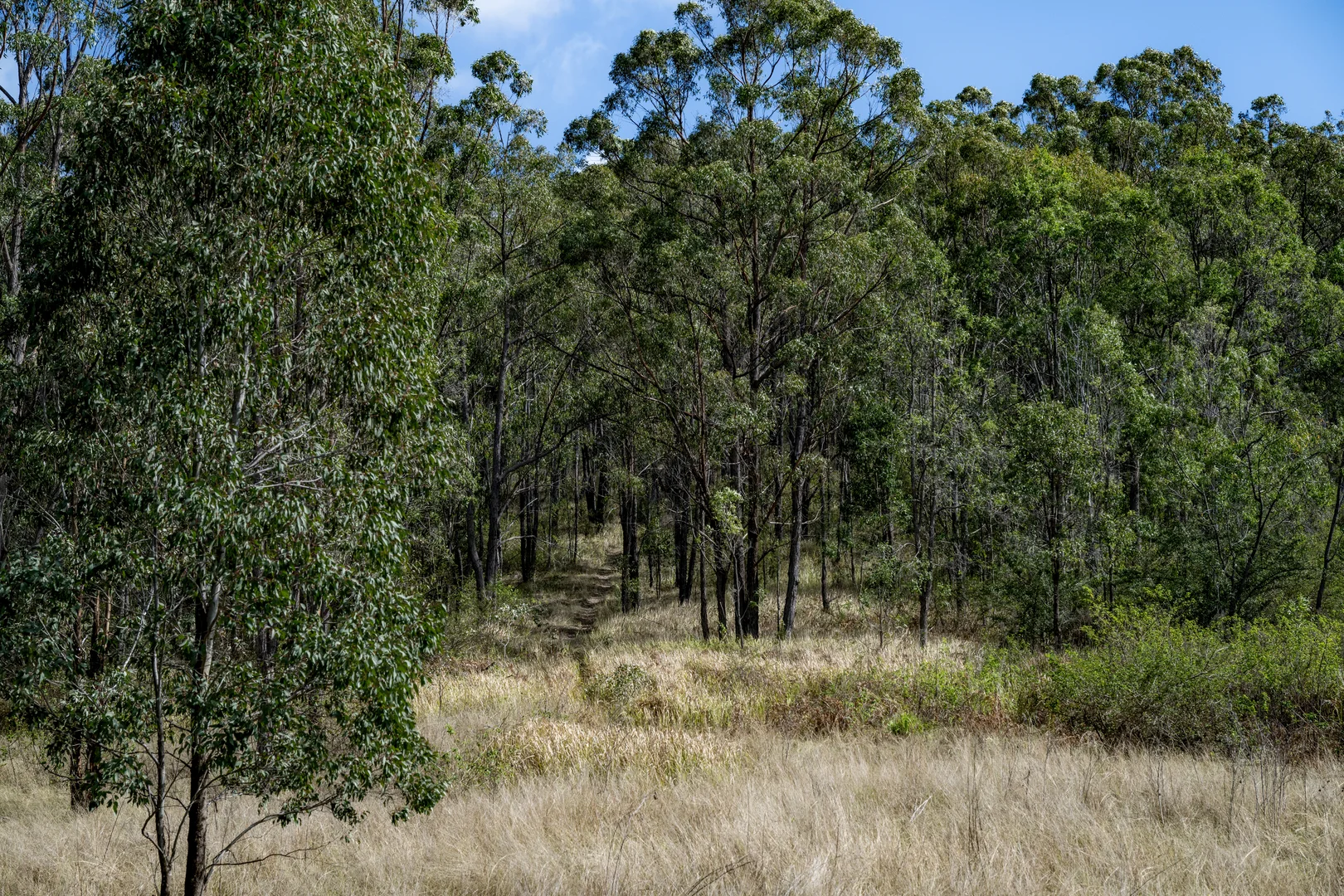 Image 17