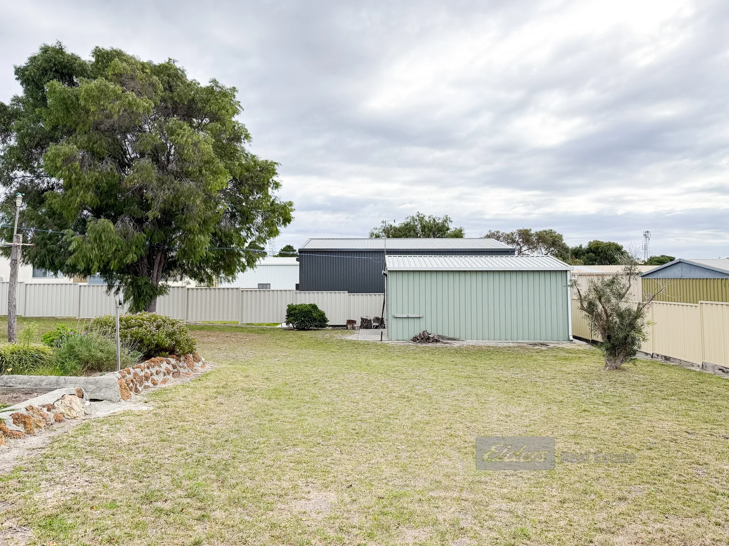 Image 39