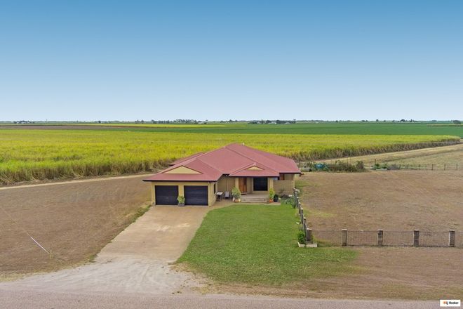 Picture of 101 Anabranch Road, JARVISFIELD QLD 4807