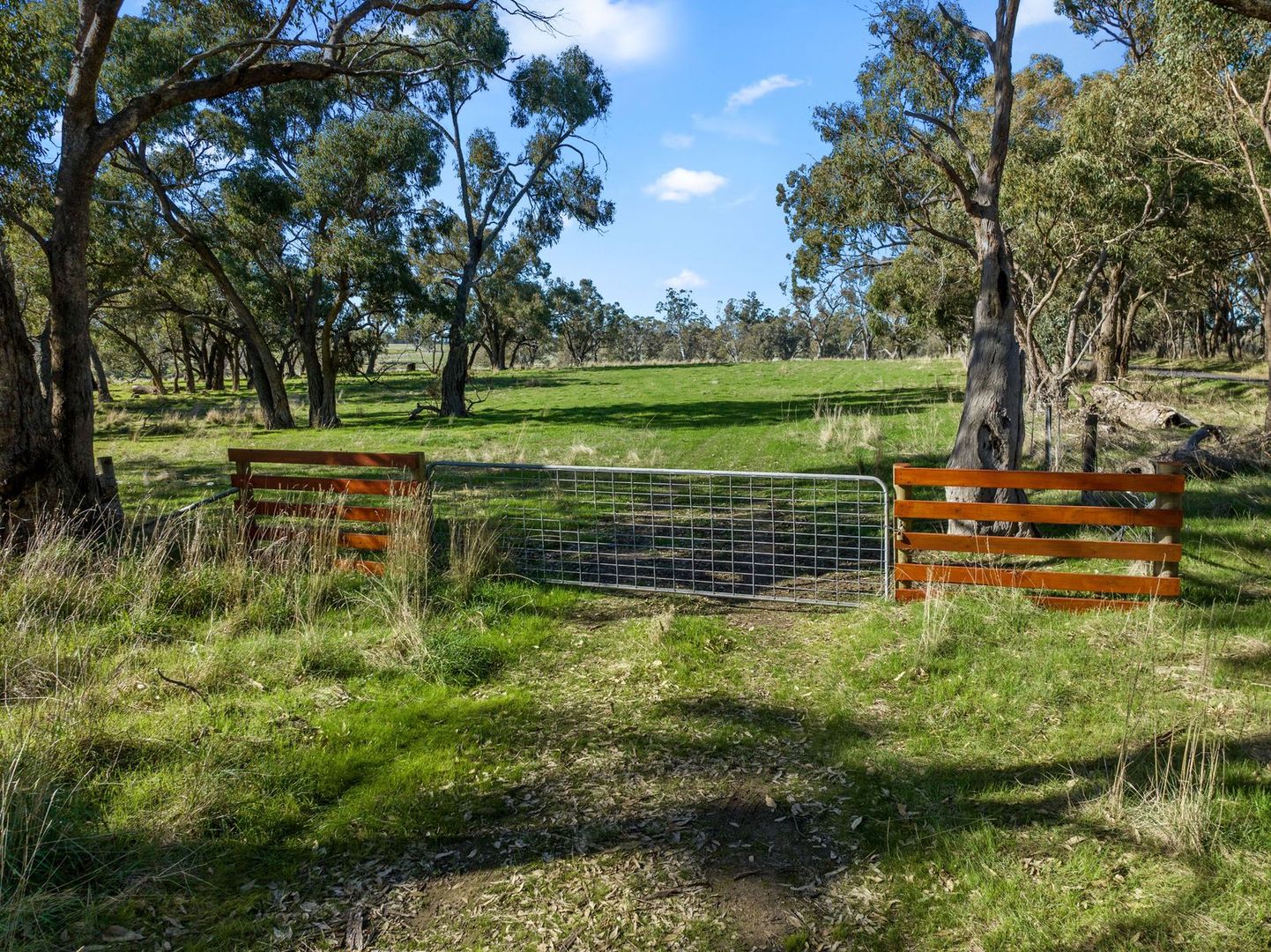 231 Sutton Grange-Redesdale Road, Sutton Grange VIC 3448, Image 1