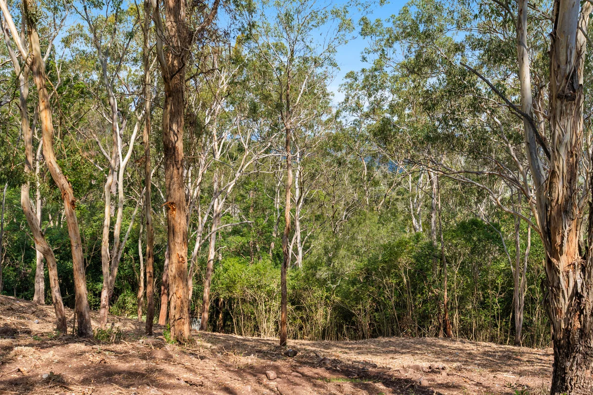 Additional image 10 of 28 Coral Sea Drive, Middle Ridge QLD 4350